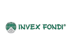Иностранные инвестиции "Инвекс Финанс" - GrandActive