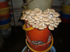Бизнес идея: выращивание грибов - GrandActive