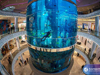 Бизнес-идея: городской аквариум - GrandActive