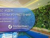 Бизнес-идея: фитостены из растений - GrandActive