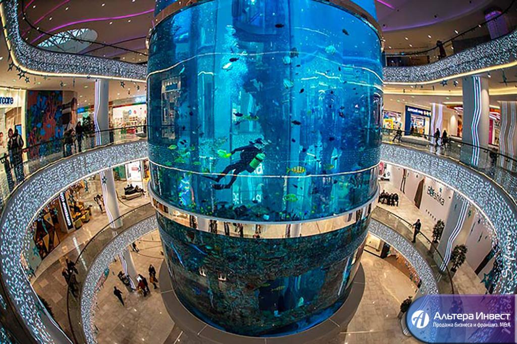 Бизнес-идея: городской аквариум - GrandActive