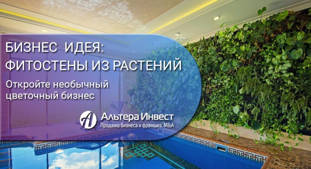 Бизнес-идея: фитостены из растений - GrandActive