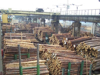 Инвестиции в лесопильное производство - GrandActive