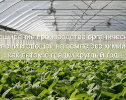 Инвестиционный проект "Живая зелень" Инвестиционный проект "Живая зелень" - GrandActive
