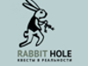 Франшиза Rabbit hole - GrandActive