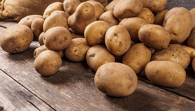 Организация комплекса по выращиванию экологически-чистого картофеля - GrandActive