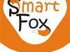 Франшиза SmartFox - GrandActive