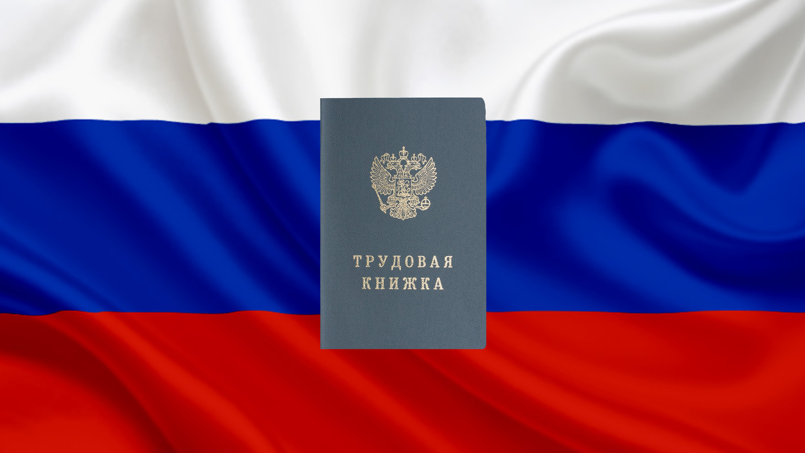 Проект «Содействие занятости» - почему работодателям стоит обратить на него внимание Проект «Содействие занятости» - почему работодателям стоит обратить на него внимание - GrandActive