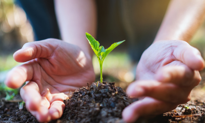 Экологический бизнес - GrandActive