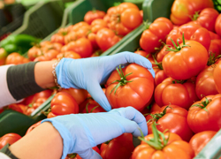 Овощная лавка в Калининском районе СПб - GrandActive