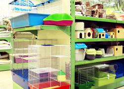 Зоомагазин в Московском районе СПб - GrandActive