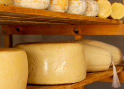 Требуются доработки фермерского сайта и поддержка Битрикс - GrandActive