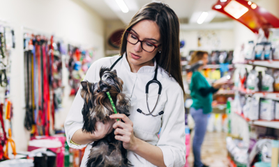 Ветаптека – выгодно ли покупать готовый бизнес? - GrandActive