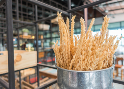 Производство муки, льняной каши, круп, наполнителей для животных. - GrandActive