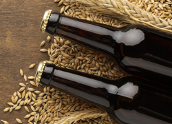 Сеть розничных магазинов и пивоварня - GrandActive