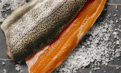 Рыбное производство – что нужно для покупки бизнеса?  - GrandActive