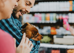 Зоомагазин и груминг-салон  - GrandActive