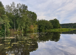 Инвестиции в строительство базы отдыха на реке - GrandActive