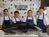 Инвестиционный проект Bluefin - GrandActive