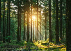 Ищю инвестора для открытия бизнеса - GrandActive