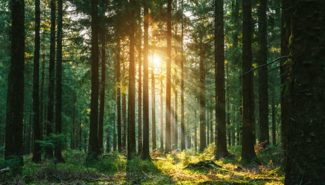 Ищю инвестора для открытия бизнеса - GrandActive