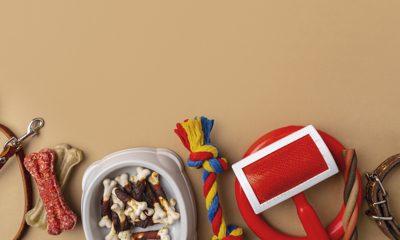 Зоомагазин – купить прибыльный бизнес - GrandActive