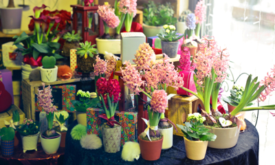 Цветочный бизнес в России  - GrandActive