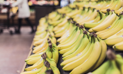 Продуктовые магазины – выгодный бизнес в 2024 году - GrandActive