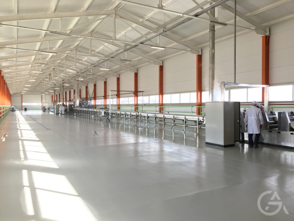 Технологическая линия производство лапши быстрого приготовления Рамен - GrandActive