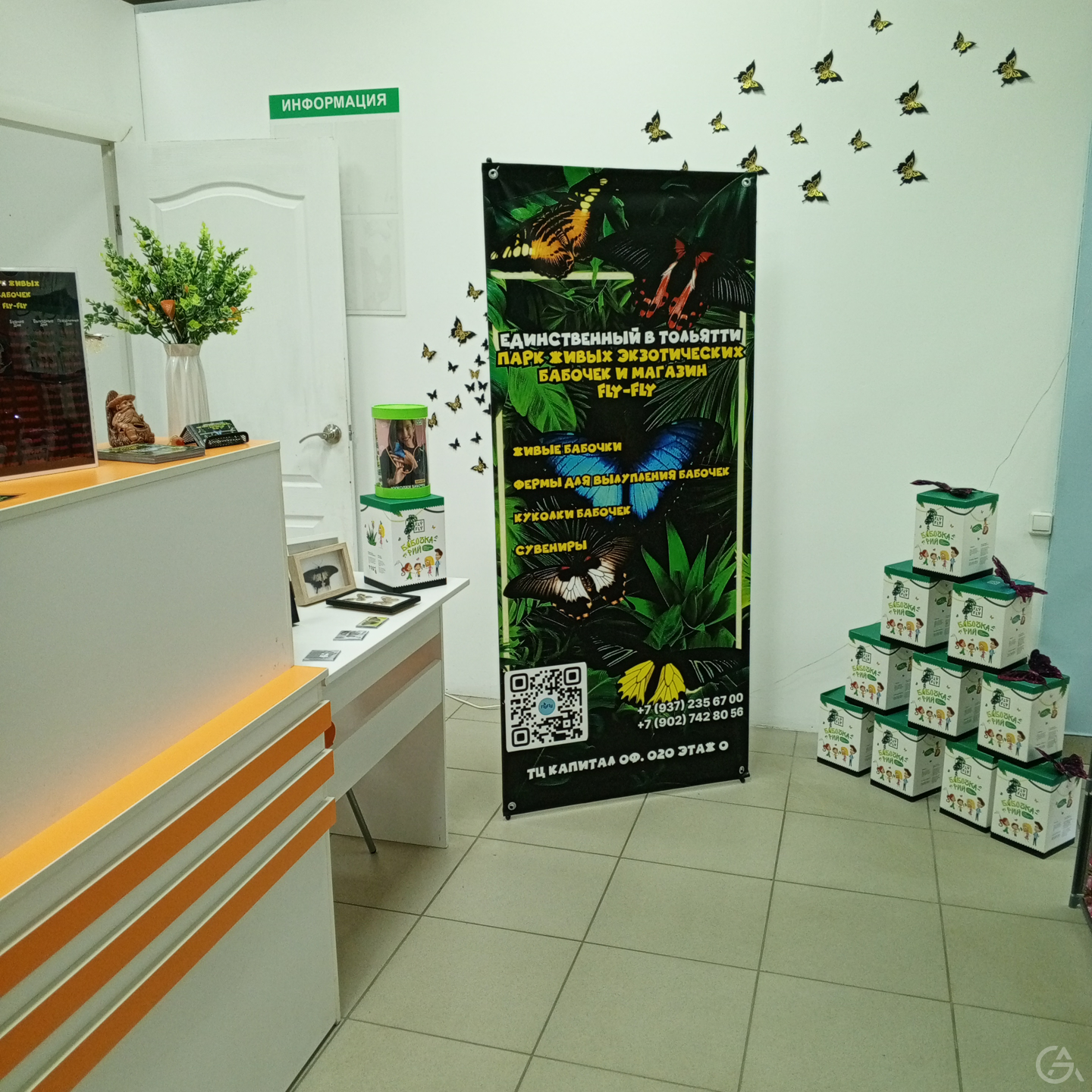 Продажа готового бизнеса, Парк и магазин живых экзотических бабочек. - GrandActive