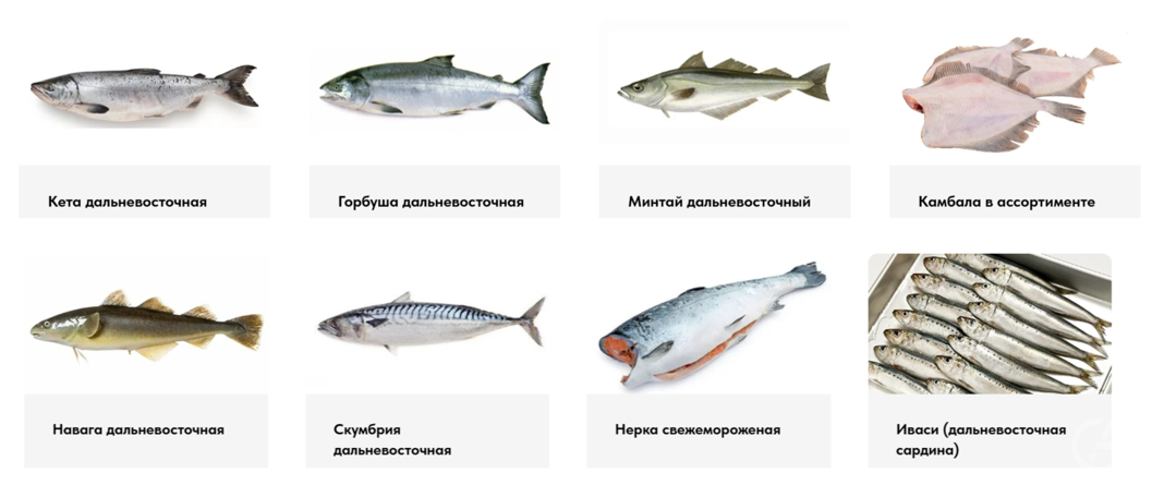 Мореман - дистрибьютор морепродуктов - GrandActive