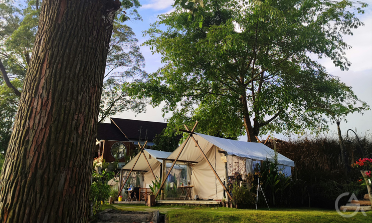Бизнес идея: глэмпинг - гламурный кемпинг - GrandActive