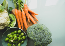 Бизнес-идея: магазин товаров для веганов - GrandActive