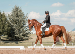 Бизнес идея: школа верховой езды - GrandActive