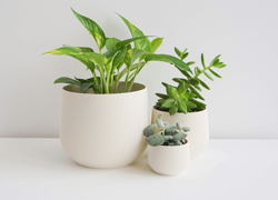 Бизнес-идея: цветочный хостел - GrandActive