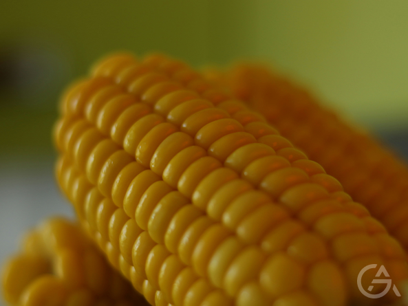 Бизнес идея: продажа вареной кукурузы - GrandActive