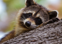 Бизнес-идея: енотокафе - GrandActive