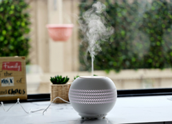 Бизнес-идея: продажа умных ароматизаторов воздуха - GrandActive