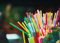 Бизнес-идея: производство биоразлагаемых соломинок из водорослей - GrandActive