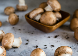 Бизнес идея: выращивание грибов - GrandActive