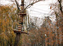 Бизнес идея: Веревочный парк - GrandActive