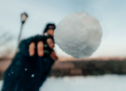 Бизнес идея: площадка для игры в юкигассен - GrandActive