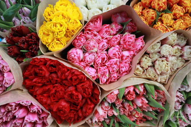 Бизнес идея: цветочный магазин - GrandActive