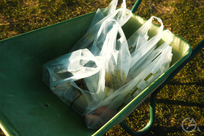 Бизнес-идея: производство био-разлагаемых пакетов - GrandActive