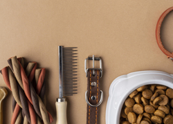 Зоомагазин как бизнес идея - GrandActive