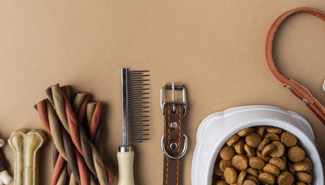 Зоомагазин как бизнес идея - GrandActive