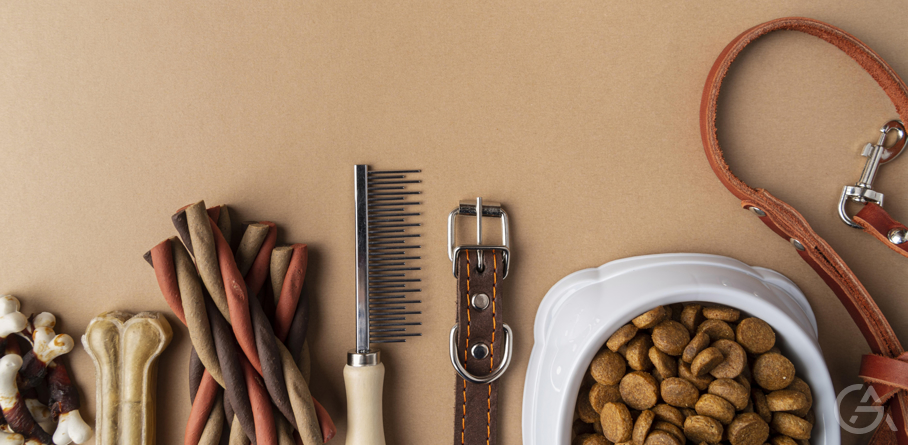 Зоомагазин как бизнес идея - GrandActive