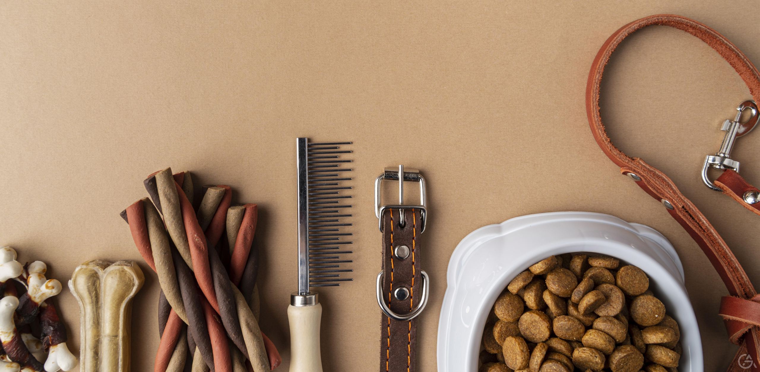 Зоомагазин как бизнес идея - GrandActive