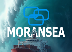 Поиск партнёра для совместных проектов в сфере международной торговли - GrandActive