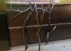 Готовый бизнес - GrandActive